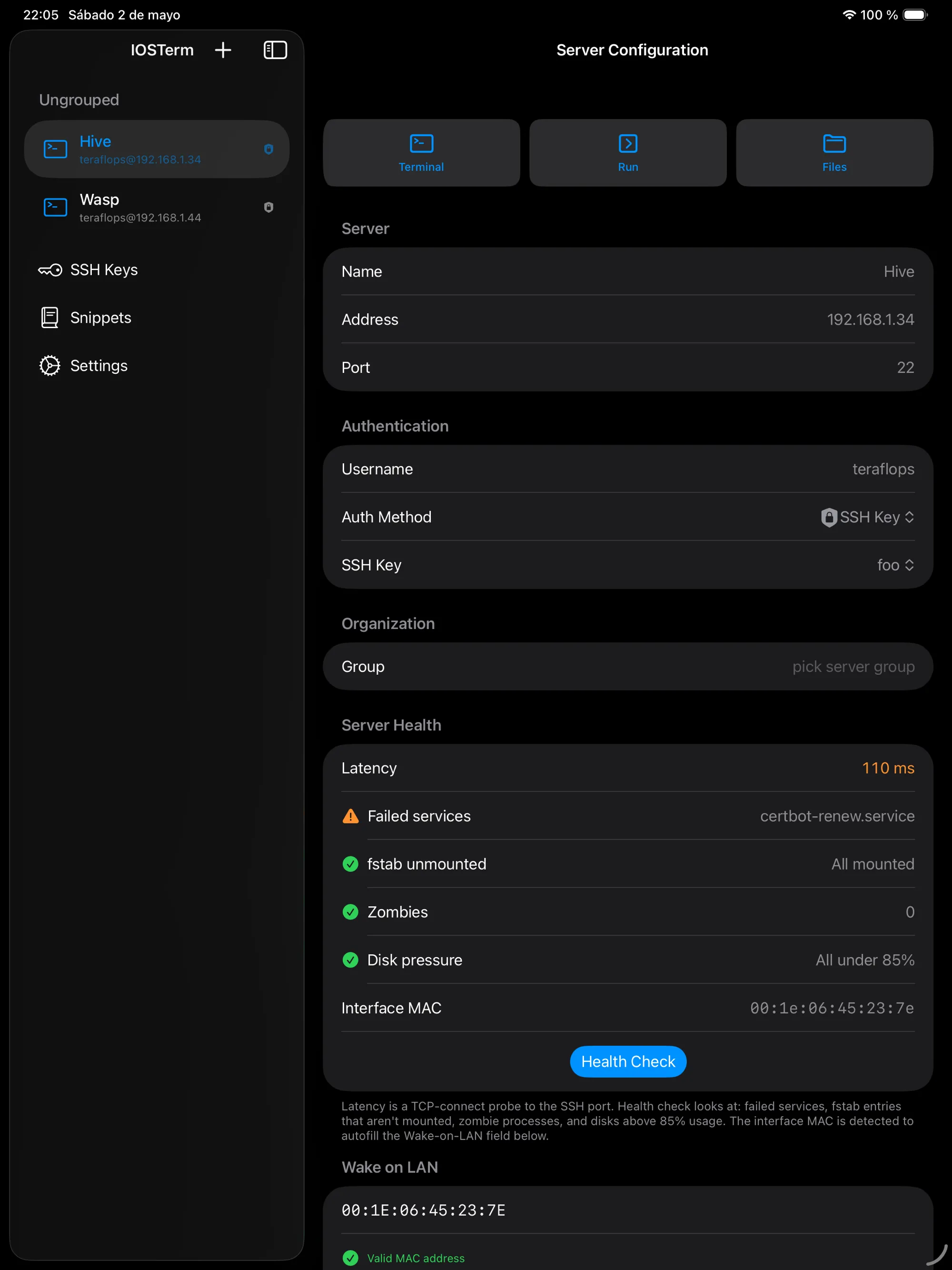 IOSTerm on iPad: sidebar with Hive and Wasp servers, SSH Keys, Snippets and Settings; the Hive configuration showing authentication, server health checks and Wake-on-LAN
