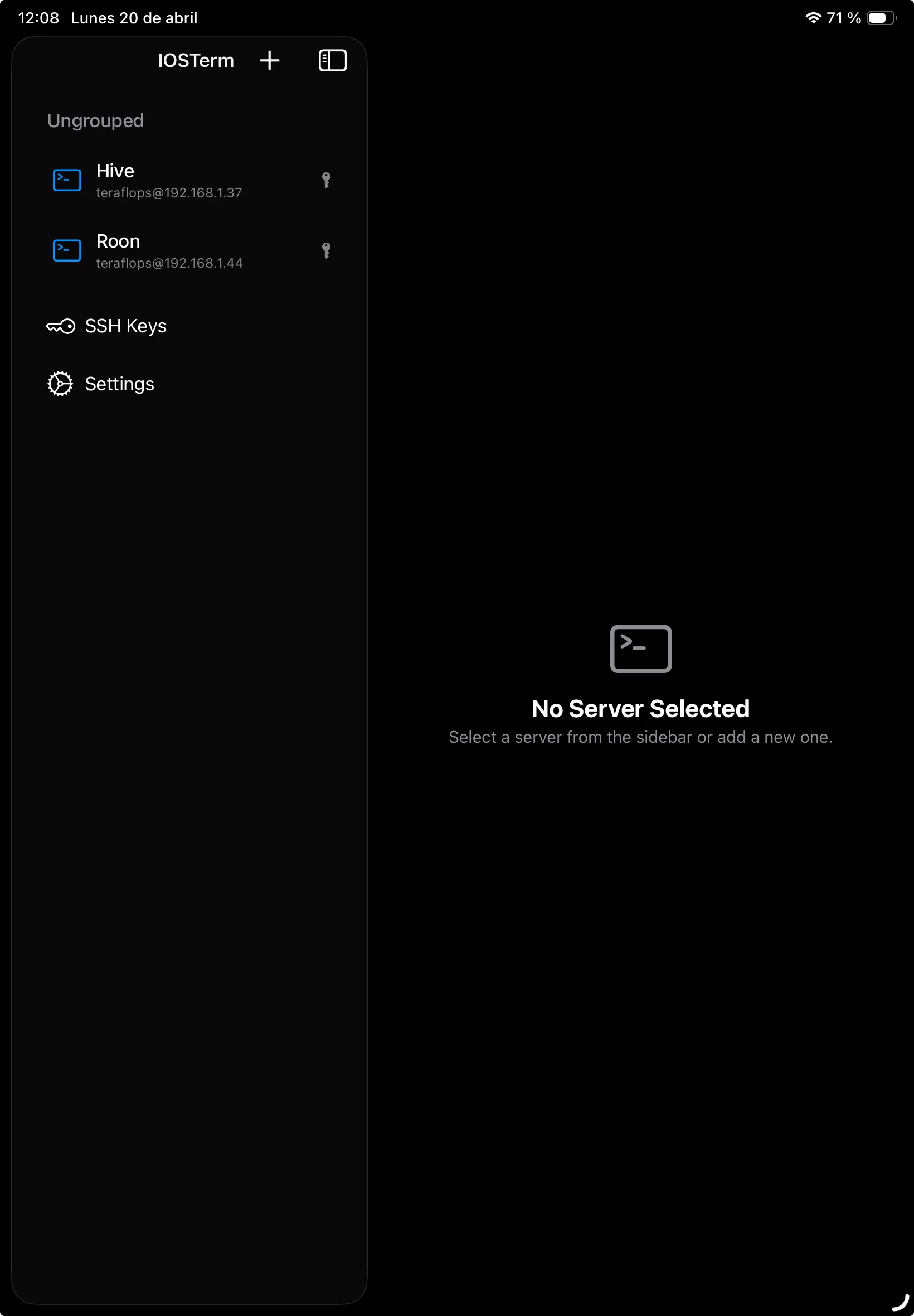 IOSTerm running on iPad with sidebar listing Hive and Roon servers, SSH Keys and Settings entries